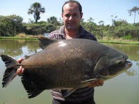 /album/galeria-de-fotos/a1-jpg/