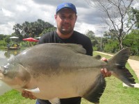 /album/galeria-de-fotos/a6-jpg/