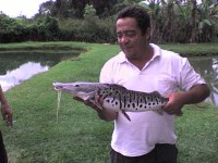 /album/galeria-de-fotos/a7-jpg/