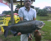 /album/galeria-de-fotos/a8-jpg/